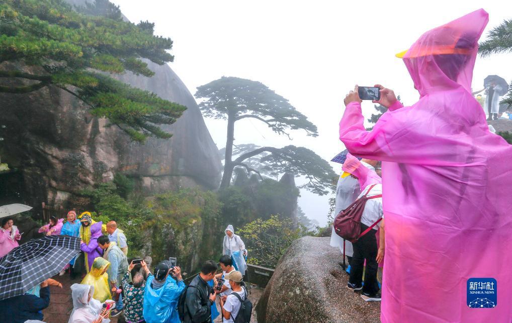 恒丰平台